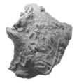 Sealing, Clay (unfired)