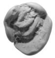 Sealing, Clay (unfired)
