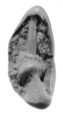 Sealing, Clay (unfired)