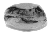 Sealing, Clay (unfired)