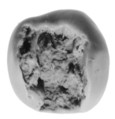 Sealing, Clay (unfired)