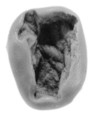 Sealing, Clay (unfired)