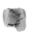 Sealing, Clay (unfired)