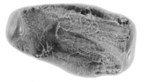 Sealing, Clay (unfired)