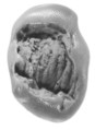 Sealing, Clay (unfired)