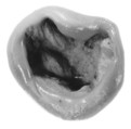 Sealing, Clay (unfired)