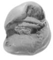 Sealing, Clay (unfired)