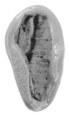 Sealing, Clay (unfired)