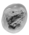 Sealing, Clay (unfired)