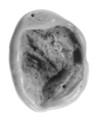 Sealing, Clay (unfired)