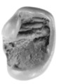 Sealing, Clay (unfired)