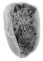 Sealing, Clay (unfired)