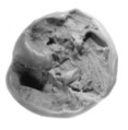 Sealing, Clay (unfired)