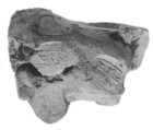 Sealing, Clay (unfired)