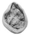 Sealing, Clay (unfired)