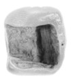 Sealing, Clay (unfired)