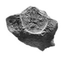 Sealing, Clay (unfired)