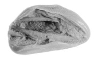 Sealing, Clay (unfired)