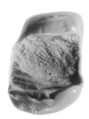 Sealing, Clay (unfired)