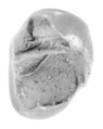 Sealing, Clay (unfired)