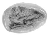 Sealing, Clay (unfired)