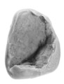 Sealing, Clay (unfired)