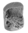 Sealing, Clay (unfired)