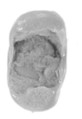 Sealing, Clay (unfired)