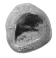 Sealing, Clay (unfired)