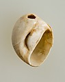Shell pendant or bead, Shell