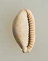 Shell pendant or bead, Shell