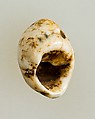 Shell pendant or bead, Shell