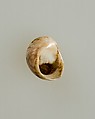 Shell pendant or bead, Shell