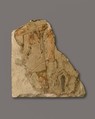 Relief fragment of a man carrying an ostrich, Limestone, pigment