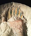 Seated Statue of Hatshepsut, Indurated limestone, paint
