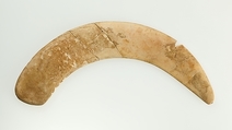 Magic Wand, Hippopotamus ivory