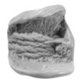 Sealing, Mud