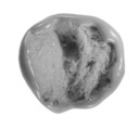 Sealing, Mud