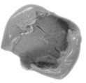 Sealing, Mud