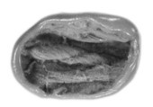 Sealing, Mud