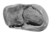 Sealing, Mud