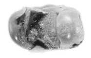 Sealing, Mud