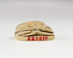 Scarab Decorated with Loops, Steatite, traces of green glaze