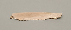 Warp spacer ?, Bone
