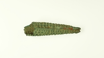 Siphon nozzle, Bronze