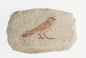 Artist's Sketch of a Sparrow, Limestone, paint