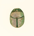 Scarab Inscribed With the Name Aakheperkare (Thutmose I), Green glazed steatite