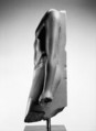 Torso of a High General, Metagraywacke