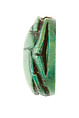 Scarab Inscribed for Hatshepsut, Steatite (glazed)