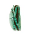 Scarab Inscribed for the God's Wife Hatshepsut, Steatite (glazed)